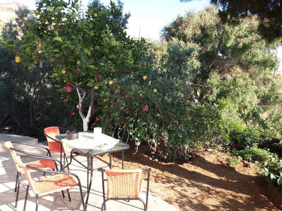 Grandpa Simos' Traditional Guest House Agios Romanos Bagian luar foto