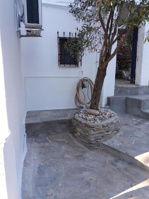 Grandpa Simos' Traditional Guest House Agios Romanos Bagian luar foto