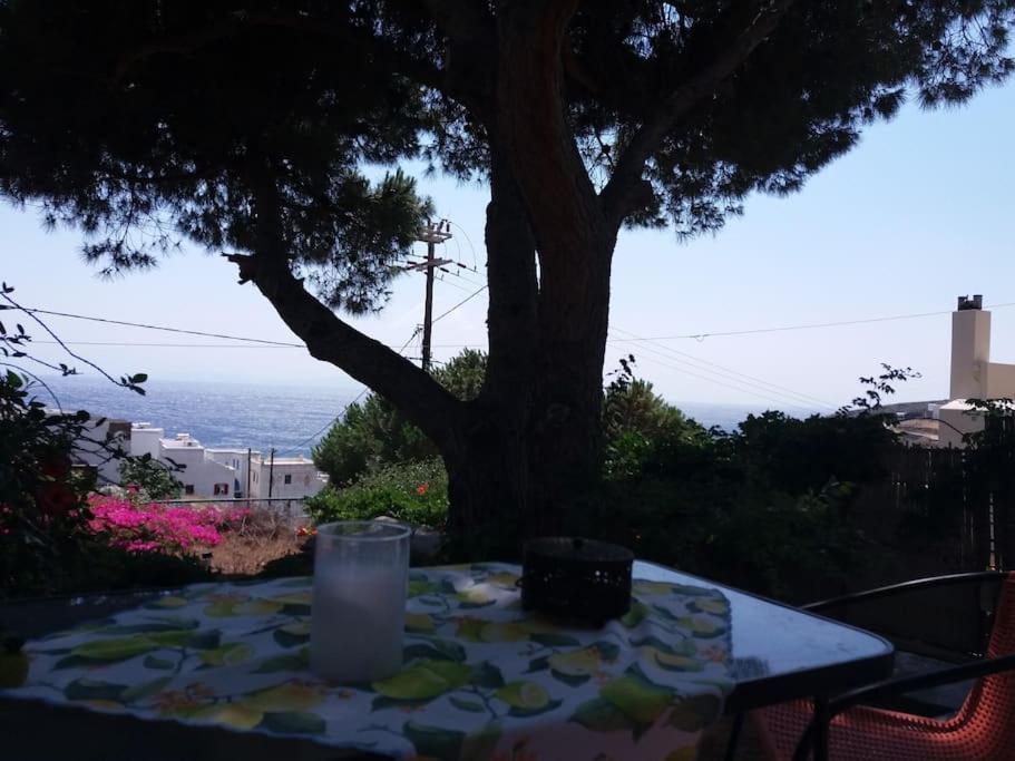 Grandpa Simos' Traditional Guest House Agios Romanos Bagian luar foto