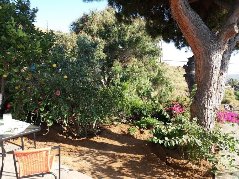 Grandpa Simos' Traditional Guest House Agios Romanos Bagian luar foto