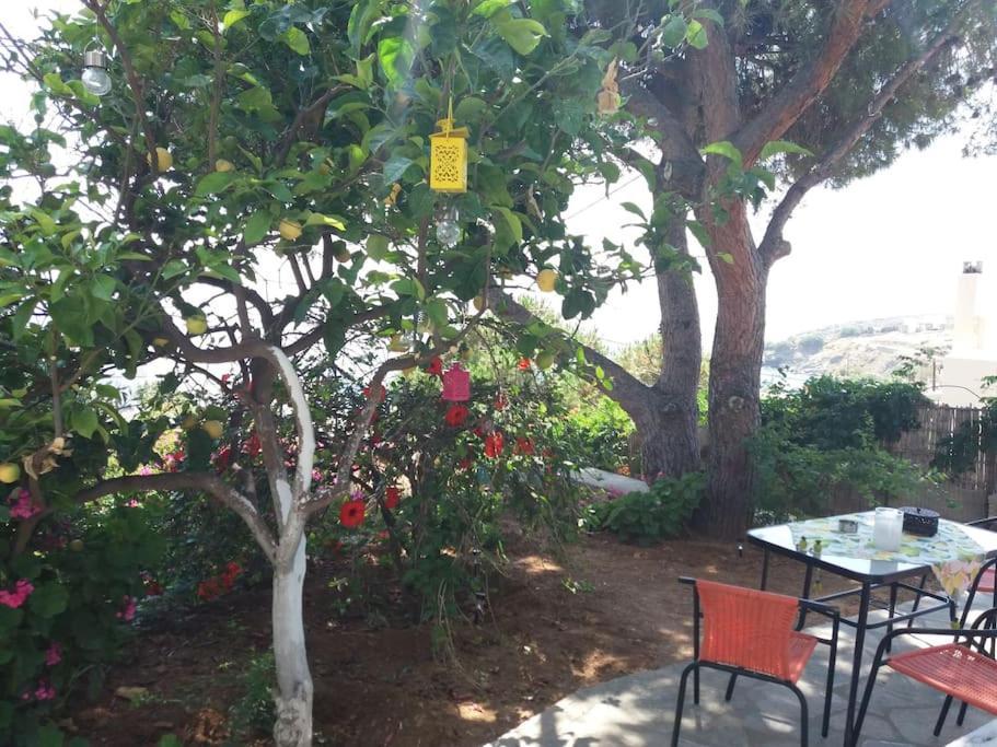 Grandpa Simos' Traditional Guest House Agios Romanos Bagian luar foto