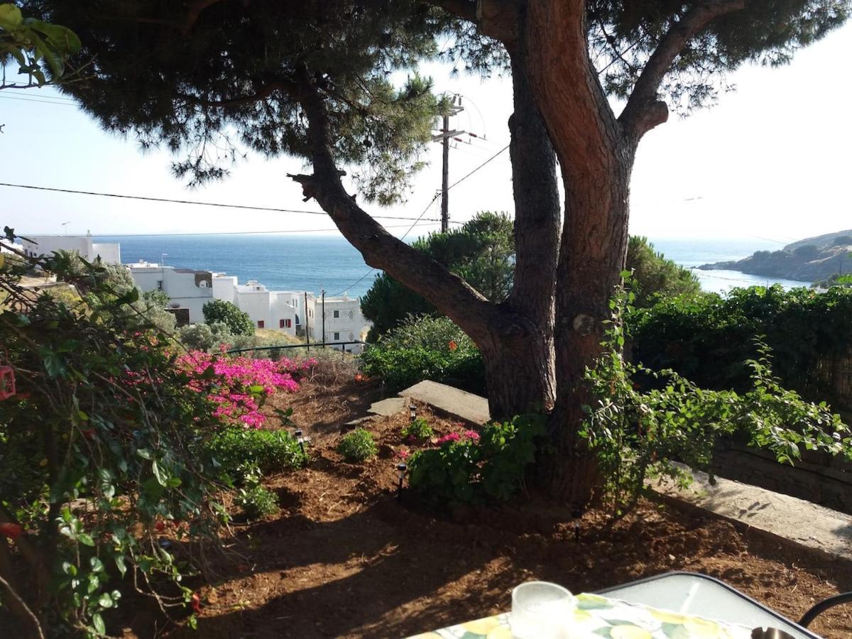 Grandpa Simos' Traditional Guest House Agios Romanos Bagian luar foto
