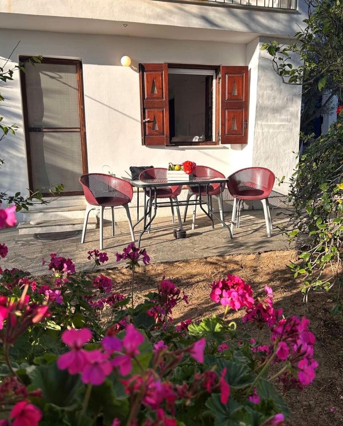 Grandpa Simos' Traditional Guest House Agios Romanos Bagian luar foto