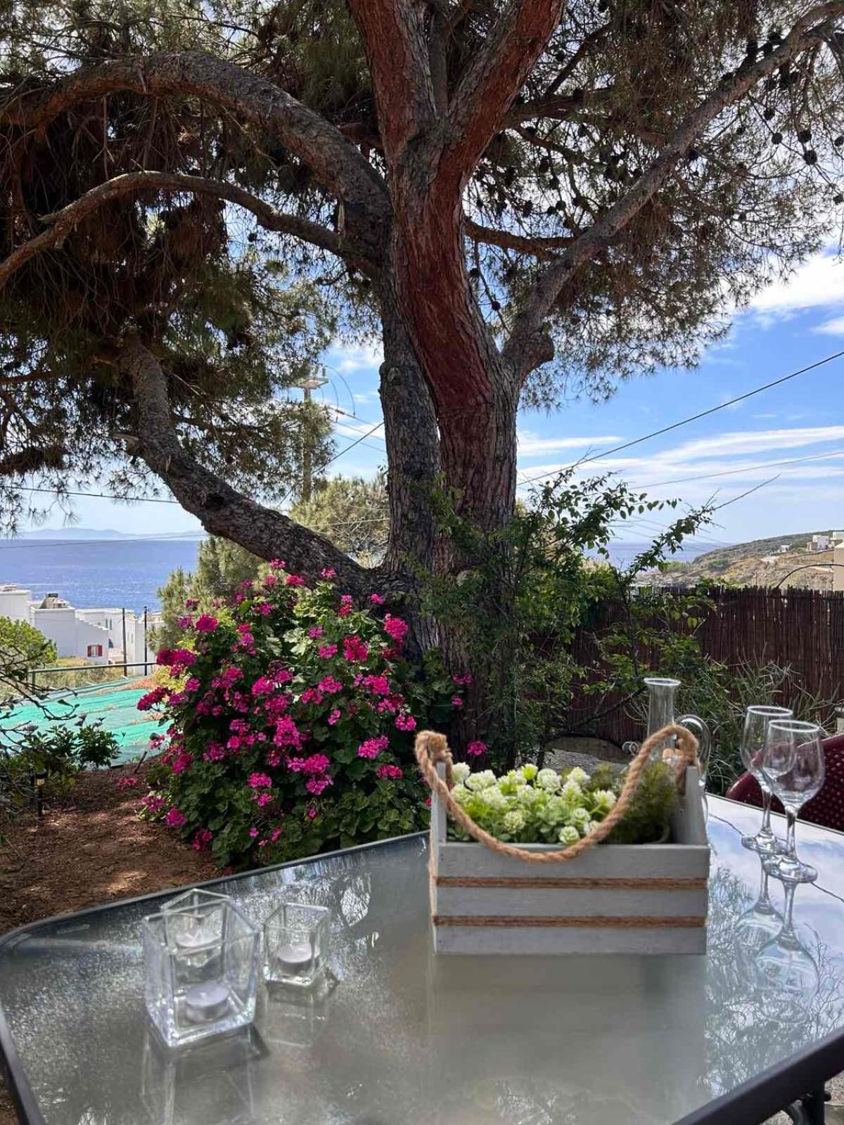 Grandpa Simos' Traditional Guest House Agios Romanos Bagian luar foto